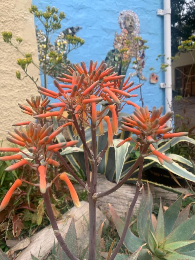 Artkaroo Stay Oudtshoorn Exterior foto